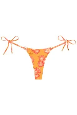 Havana Thong - Field Of Dreams